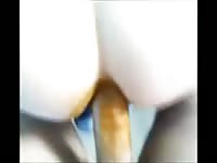 Well-endowed hunk slides his big dick deep in partners scat drenched asshole in this POV