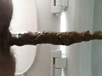 Dude exposes his hairy ass and takes an enormous messy shit in this toilet scam cam video
