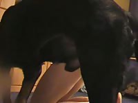 Yadav Bf Xxx Dog - Horny American teenage is having sex with her black dog in the street - Zoo  Porn Horse Sex, Zoophilia