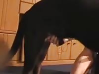 Angela likes fucking with her sexually aroused black dog