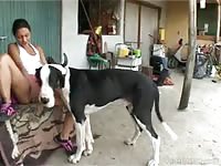 Sweet and once innocent college cutie enjoying bestiality sex with enormous black beast