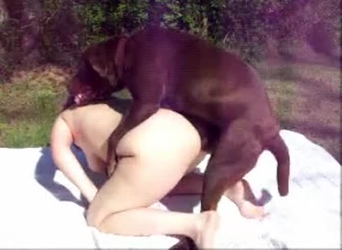 Lovely Polish slut is getting savagely fucked by her black dog in the park  - Zoo Porn Dog Sex, Zoophilia