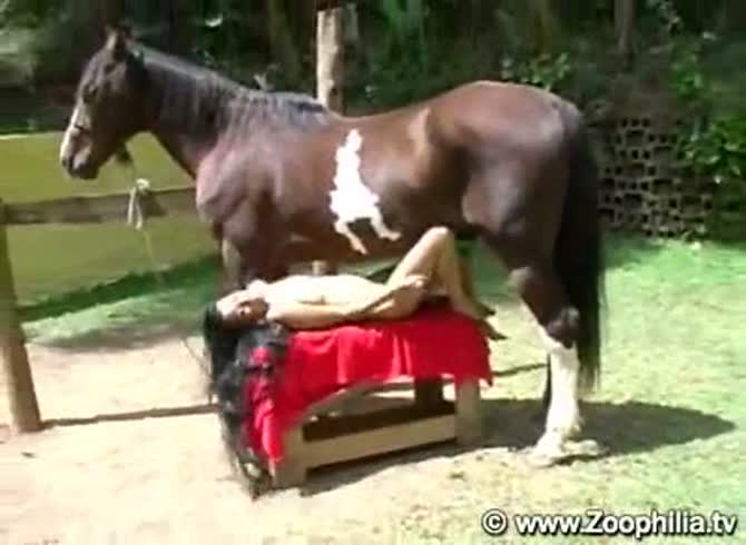 Tramp positions herself under horse and enjoys getting fucked by the animal  for first time - Zoo Porn Horse Sex, Zoophilia