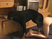 Obedient pet is having sex with its horny mistress