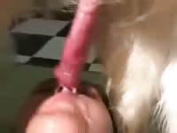 Dark-haired woman likes giving head to her pet