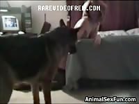 Dog Fucking Big Tits - Cute girl with big boobs is getting fucked by a dalmatian ...