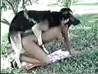 Beautiful brown-haired female gets fucked by a dog in the park