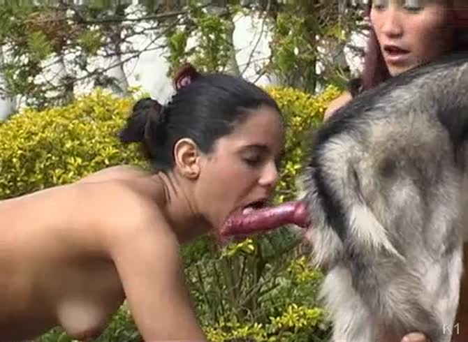 Dark-haired virgin is giving a (フェラ)blowjob to her girlfriend's dog - Zoo Porn Dog Sex, Zoophilia 