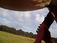 Proud dude uses the tip of his hand to pleasure horse into cumming in this bestiality video
