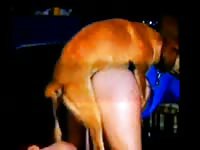 Never before seen filthy college hussy engaging in bestiality with dog in this hardcore video