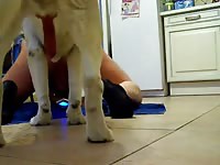 Fuck-hungry American milf starts fucking with her pet after cooking