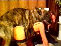 Fuck-hungry Hungarian whore is getting wildly fucked by her dog