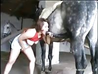 Porn video for tag : Orgy with horse