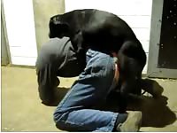 Dude gets home from work and welcomes zoophilia sex as he lets huge dog fuck him good