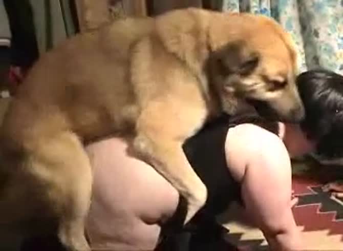 Dog toon sex Hentai Videos