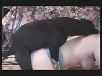 Fat English milf enjoys getting banged by her son's pet