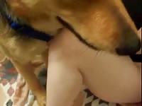 Hardcore homemade bestiality video featuring naughty MILF getting screwed by horny K9