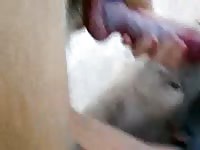 Daring jizz loving young trollop swallows a warm load of animal cum in this beast sex movie