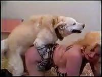 Dog Fard Video - Blonde with twintails fucked hard by dog on the couch on dog porn video -  Zoo Porn Dog Sex