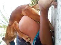 Fantastic home beastiality sex movie featuring naughty cougar getting screwed by horny dog
