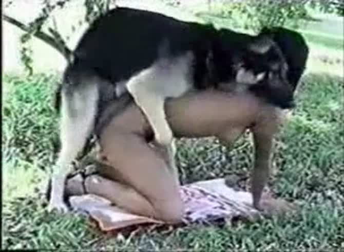Dog Gailar Xxx Video - Sexy dark-haired Canadian girl is having intercourse with her dog in the  street - Zoo Porn Dog Sex, Zoophilia