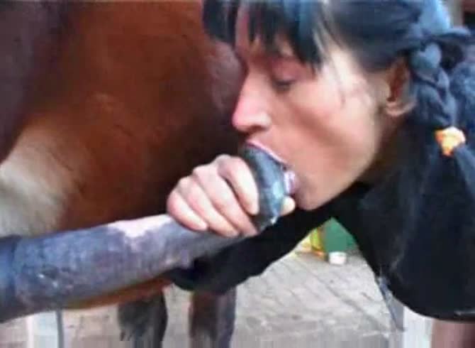 Cum gushes from this brunette tramps mouth as she sucks horse cock in bestiality debut - Zoo Porn Horse Sex, Zoophilia 