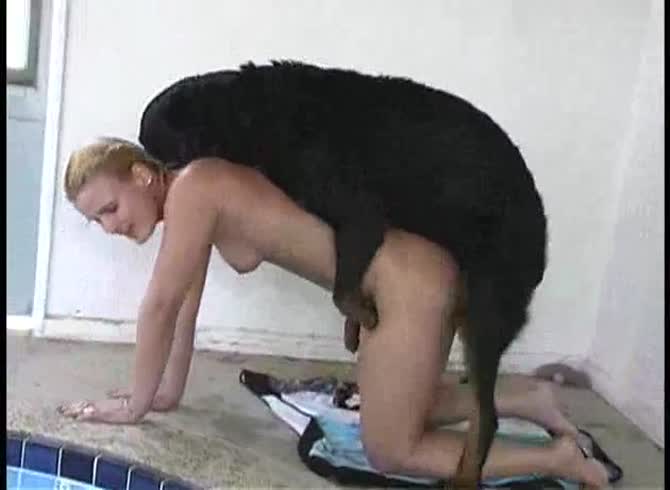 Russian dog sex