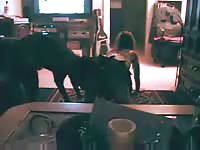 Never before seen filthy college slut engaging in zoophilia with K9 during live streaming show