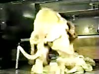 Old school animal fucking video features hot young whore mounted and fucked by K9