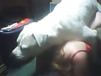Fuck-hungry Russian brunette gets banged by her white doggy