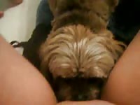 While feeling frisky in the bathroom this MILF spreads her thighs for beast sex fun with dog