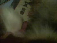 Proud pet owner grabs his animals hard cock and records while he blows the beast like a pro