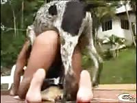 Dark-haired Russian female likes getting fucked by her dog