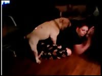 Nice homemade zoophilia sex video featuring slutty MILF getting fucked by her horny dog