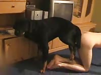 Horny black dog likes fucking its cute mistress