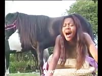Ebony girl loves horse cock in her tight young ass