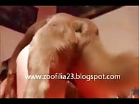 Zoophile teen drilled by her big dog and its thick knot