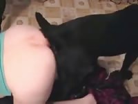 Black dog adores fucking its mistress deep in her wet pussy