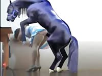 Teen gets fucked real hard by huge horse