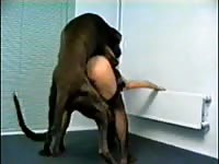 Rus Girl Dog Sex