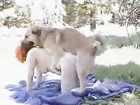 Brown-haired bitch with a nice body enjoys fucking with her dog outdoors