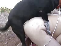 Lovely brown-haired bitch enjoys getting wildly fucked by her black dog