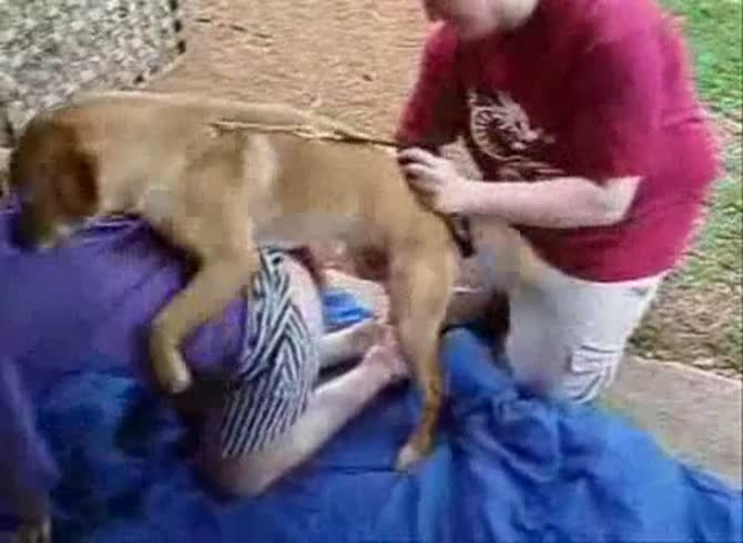 Lovely brown-haired bitch is getting ass-fucked by her dog in the park -  Zoo Porn Dog Sex, Zoophilia