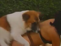 Lovely guy enjoys watching his girlfriend getting fucked by a dog