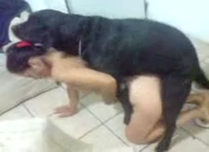 Asian mom teases dog then lets him fuck her hard - Zoo Porn Dog Sex, Zoophilia