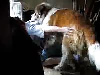Hungry pervert is getting banged deep in his ass