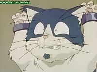 Tied up cat teased by wet tight pussy