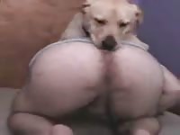 Fat Fuck Dogs Porn - Dog fucks fat woman - Zoo Porn Dog Sex