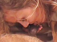 Cum addicted teenage skank shows off cock sucking skills on a beast in this zoo sex footage