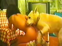 Giant dog mounts this slutty housewife and fills her with his creamy load